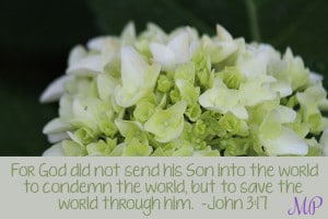 John 3:17 - Mom's Priority verse of the week