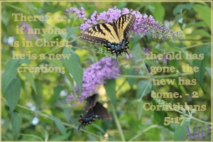 Therefore if anyone is in Christ, he is a new creation; the old has gone, the new has come- 2 Corinthians 5:17