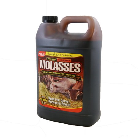 Molasses Livestock