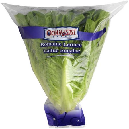 Produce Unbranded Romaine Lettuce 18