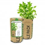Organic Mint Grow Kit ~Urban Agriculture mint grow kit come with one pack of organic mint seeds