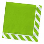 Green Stripe Paper Beverage Napkins ~Add a bold spot of color to your party with these green stripe-edged cocktail napkins. Pack of 20.