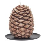 Small Cinnamon Beignet Pinecone Candle ~Bring fall into your home with this beautiful pinecone shaped candle