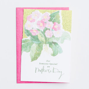 Mother's Day - For Someone Special on Mother's Day - 1 Premium Card Honor a special mother on Mother's Day by expressing your appreciation for who she is with this Christian Mother's Day greeting card from DaySpring.Cover:For Someone Special on Mother's DayInside:Just to let you know how special you are and how much appreciation I hold in my heart for you.I hope your Mother's Day will be extra-blessed.Scripture:Bless you in God's name! Psalm 129:8 The MessageProduct Details:1 card and 1 envelopeThe Message Scripture textCard features die-cut